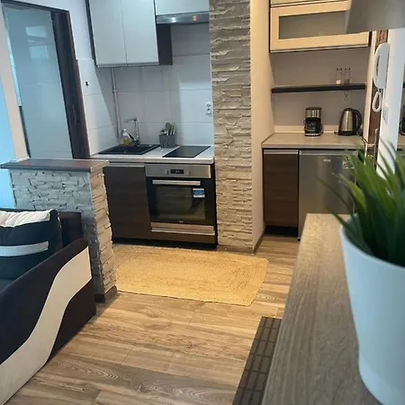 Apartament Polnoc Apartment *